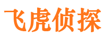 沅江市调查公司